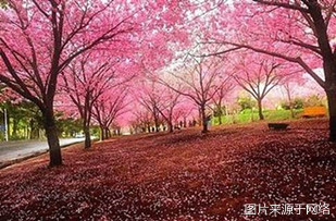http://ww.4000500521.com//upimg/seot/t20161219142324159.jpg