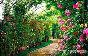 http://ww.4000500521.com//upimg/seot/t20161219154823264.jpg
