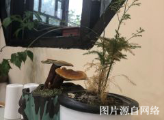http://ww.4000500521.com//upimg/seot/t20190701173553213.jpg